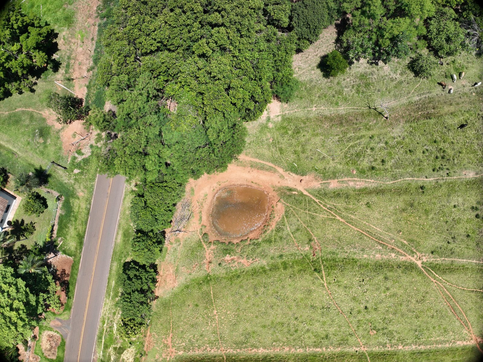 Registro de campo do Projeto Jales